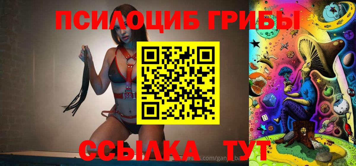 Псилоцибиновые грибы мицелий Тобольск