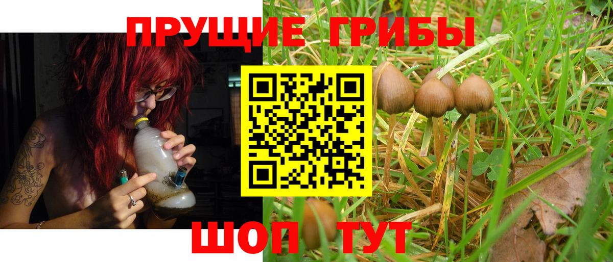где купить наркотик  Псилоцибиновые грибы Cubensis  Галлюциногенные грибы Psilocybe  Вход с VPN  Тобольск 
